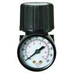 central pneumatic regulator